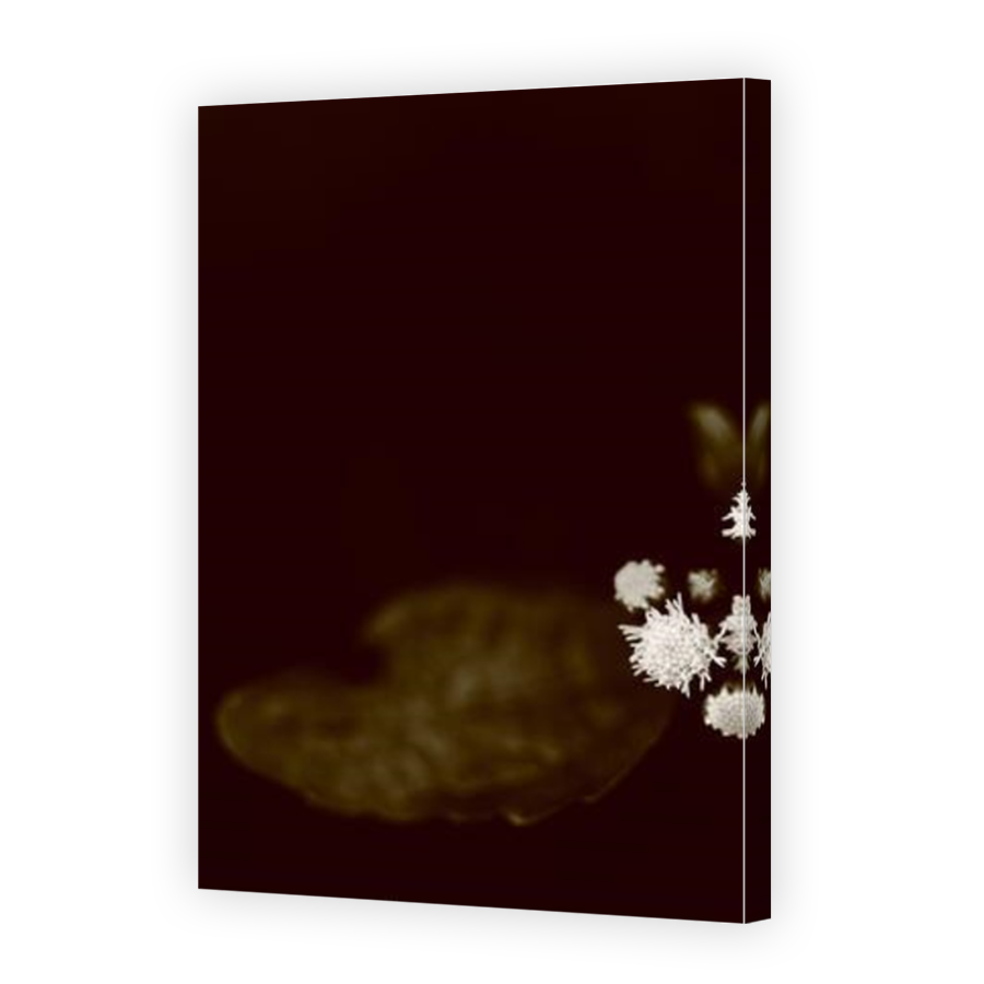 Thumbnail for Canvas - Mirror Image Canvas Wrap