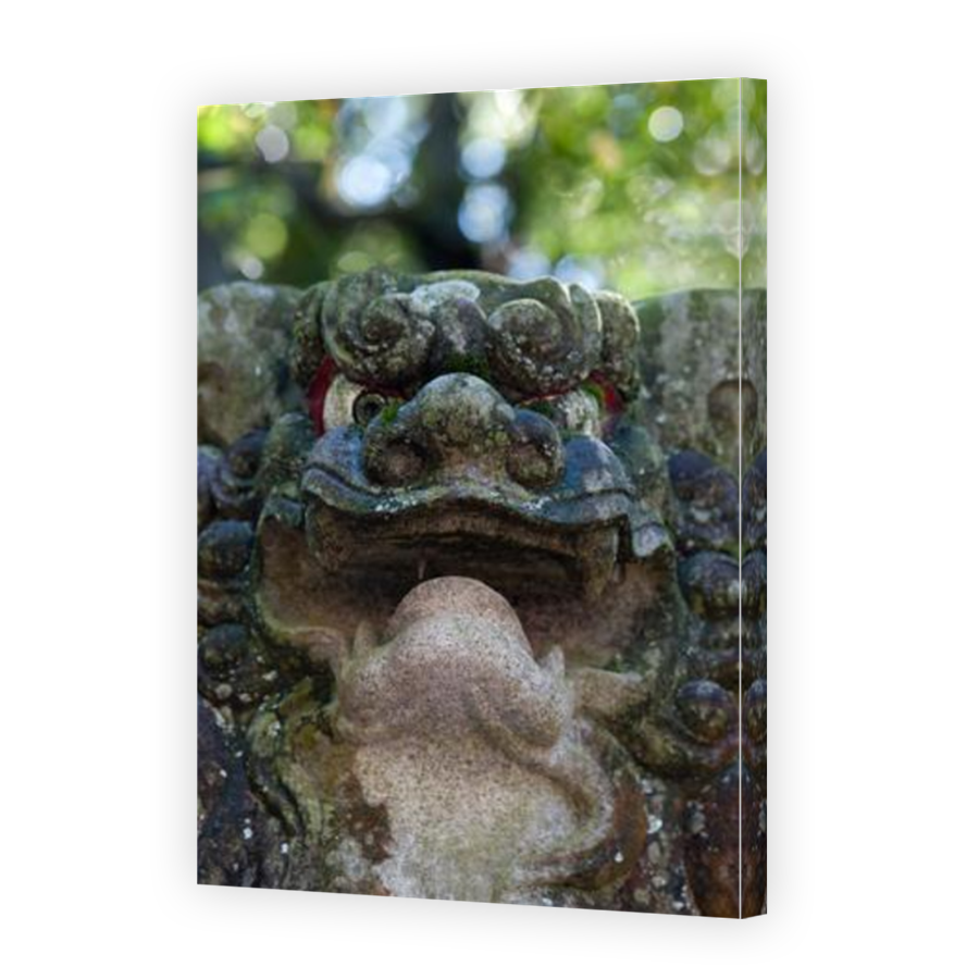 Thumbnail for Canvas - Mirror Image Canvas Wrap