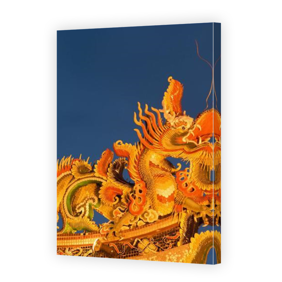 Thumbnail for Canvas - Mirror Image Canvas Wrap
