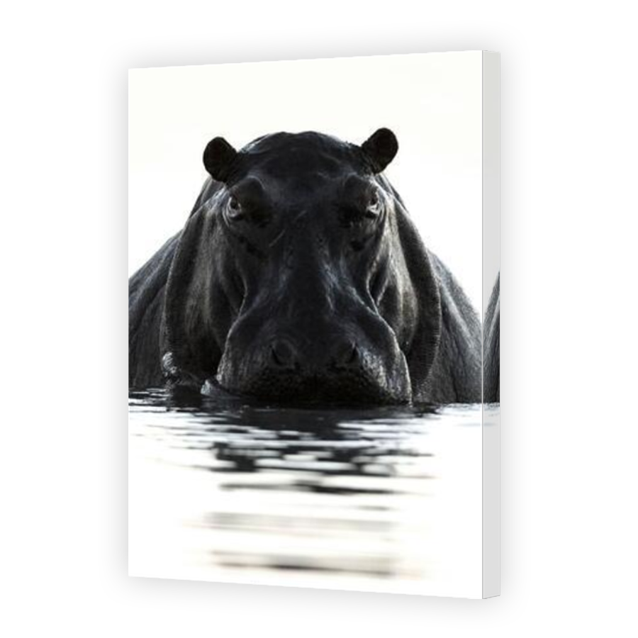 Thumbnail for Canvas - Mirror Image Canvas Wrap