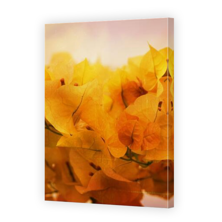 Thumbnail for Canvas - Mirror Image Canvas Wrap