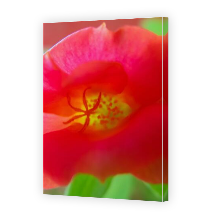 Thumbnail for Canvas - Mirror Image Canvas Wrap