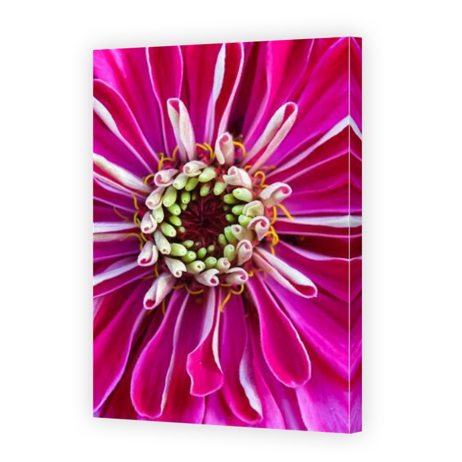 Thumbnail for Canvas - Mirror Image Canvas Wrap