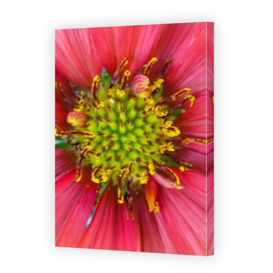 Thumbnail for Canvas - Mirror Image Canvas Wrap