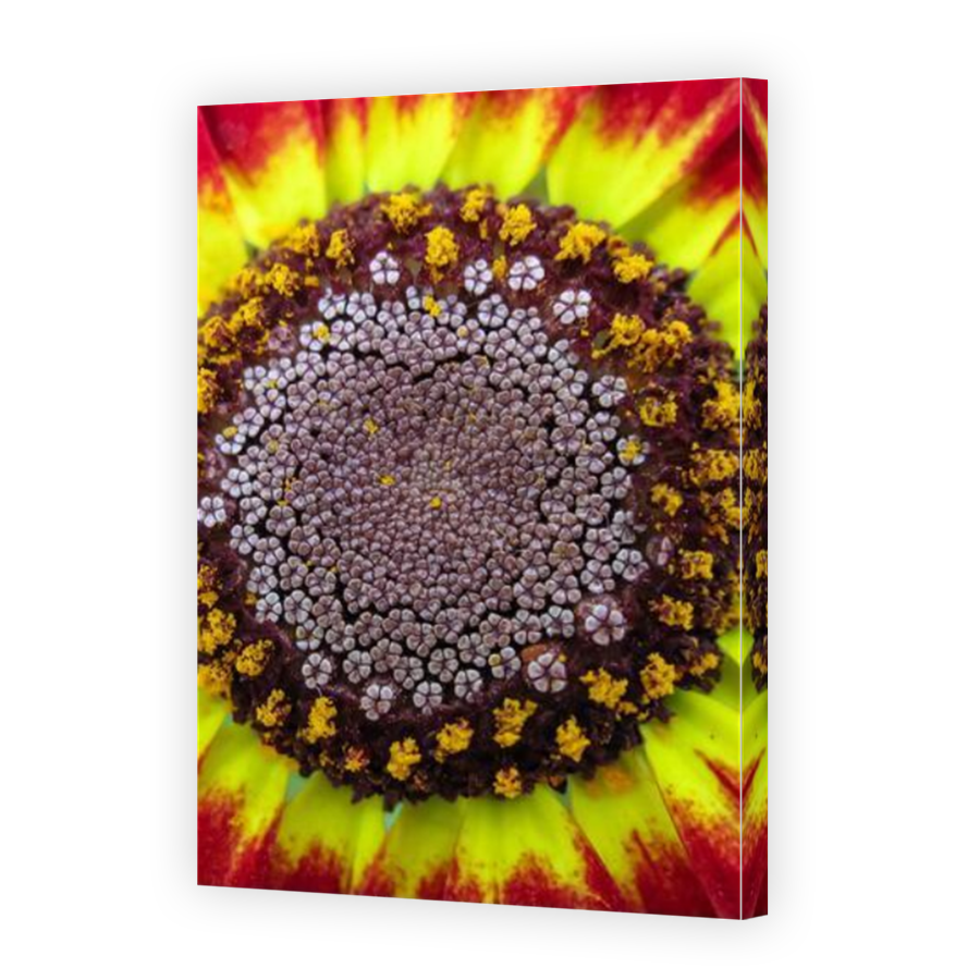 Thumbnail for Canvas - Mirror Image Canvas Wrap