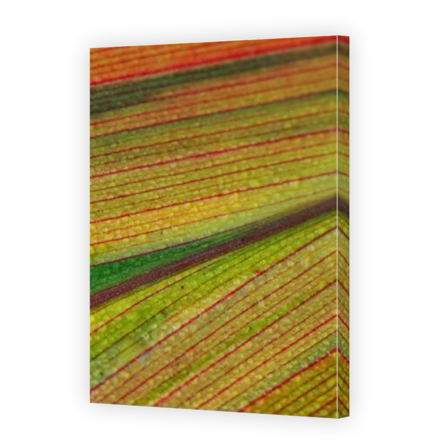 Thumbnail for Canvas - Mirror Image Canvas Wrap