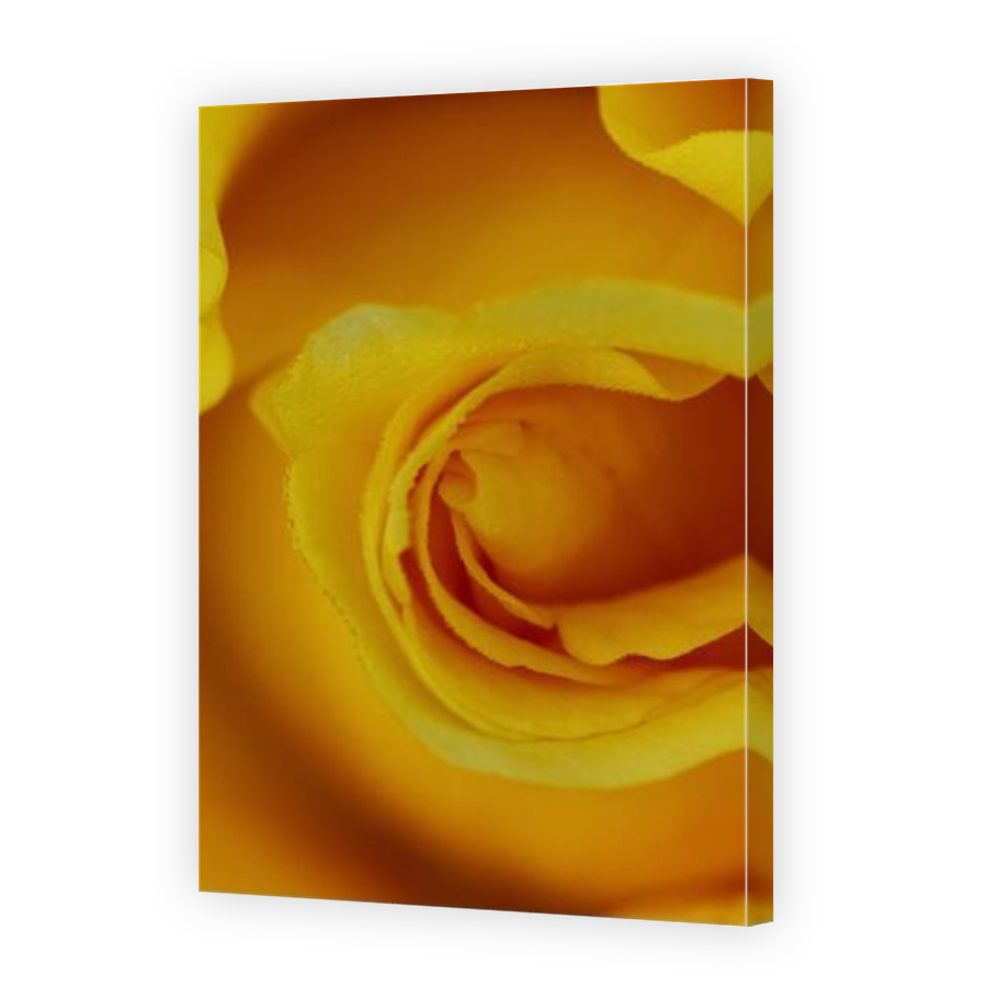 Thumbnail for Canvas - Mirror Image Canvas Wrap