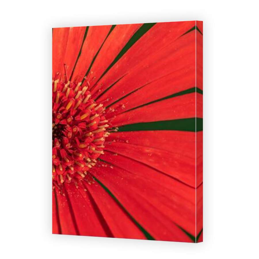 Thumbnail for Canvas - Mirror Image Canvas Wrap