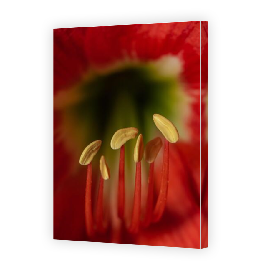 Thumbnail for Canvas - Mirror Image Canvas Wrap