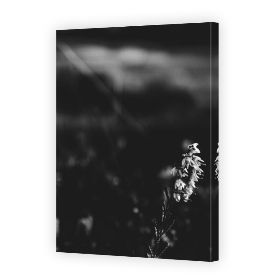 Thumbnail for Canvas - Mirror Image Canvas Wrap