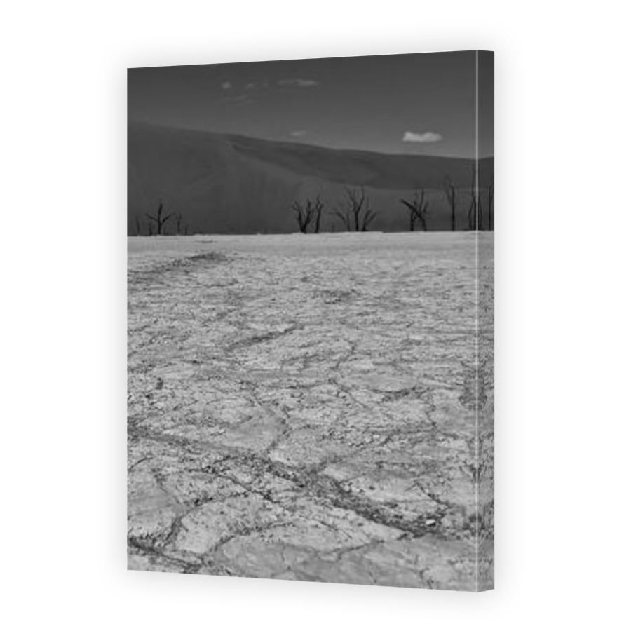 Thumbnail for Canvas - Mirror Image Canvas Wrap