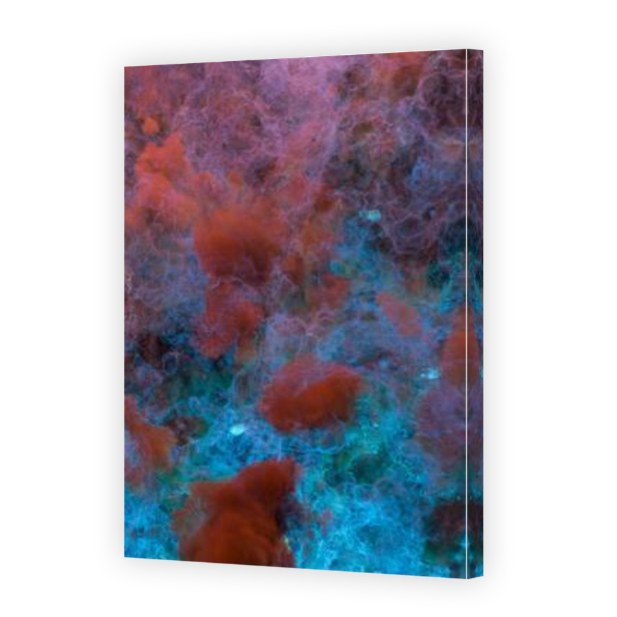Thumbnail for Canvas - Mirror Image Canvas Wrap