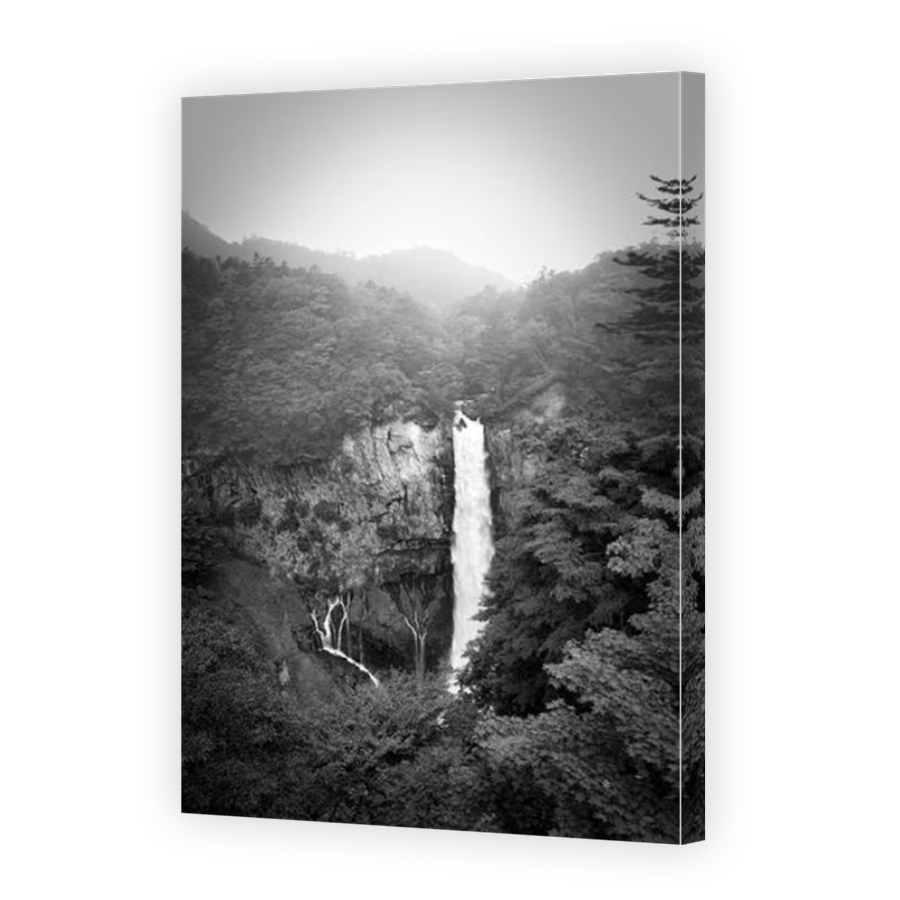 Thumbnail for Canvas - Mirror Image Canvas Wrap