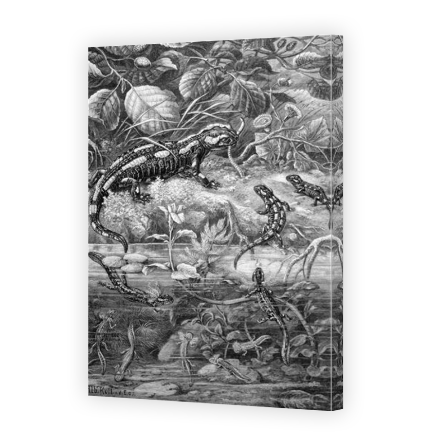 Thumbnail for Canvas - Mirror Image Canvas Wrap