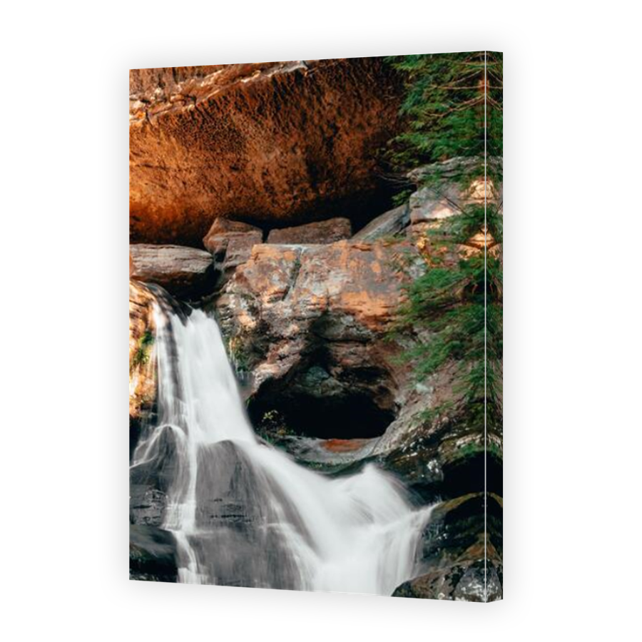 Thumbnail for Canvas - Mirror Image Canvas Wrap