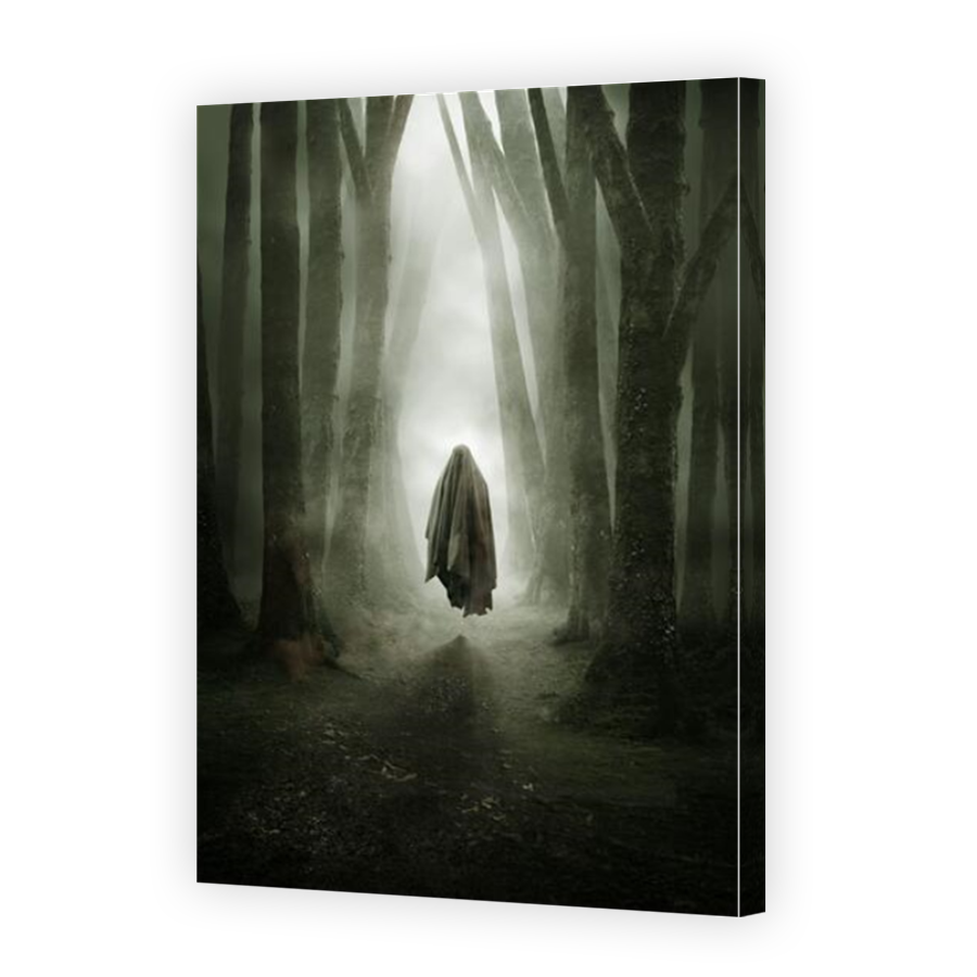 Thumbnail for Canvas - Mirror Image Canvas Wrap