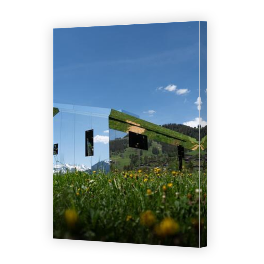 Thumbnail for Canvas - Mirror Image Canvas Wrap