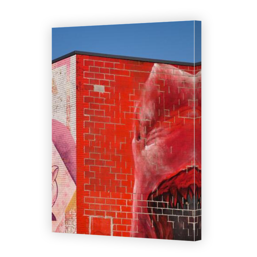 Thumbnail for Canvas - Mirror Image Canvas Wrap