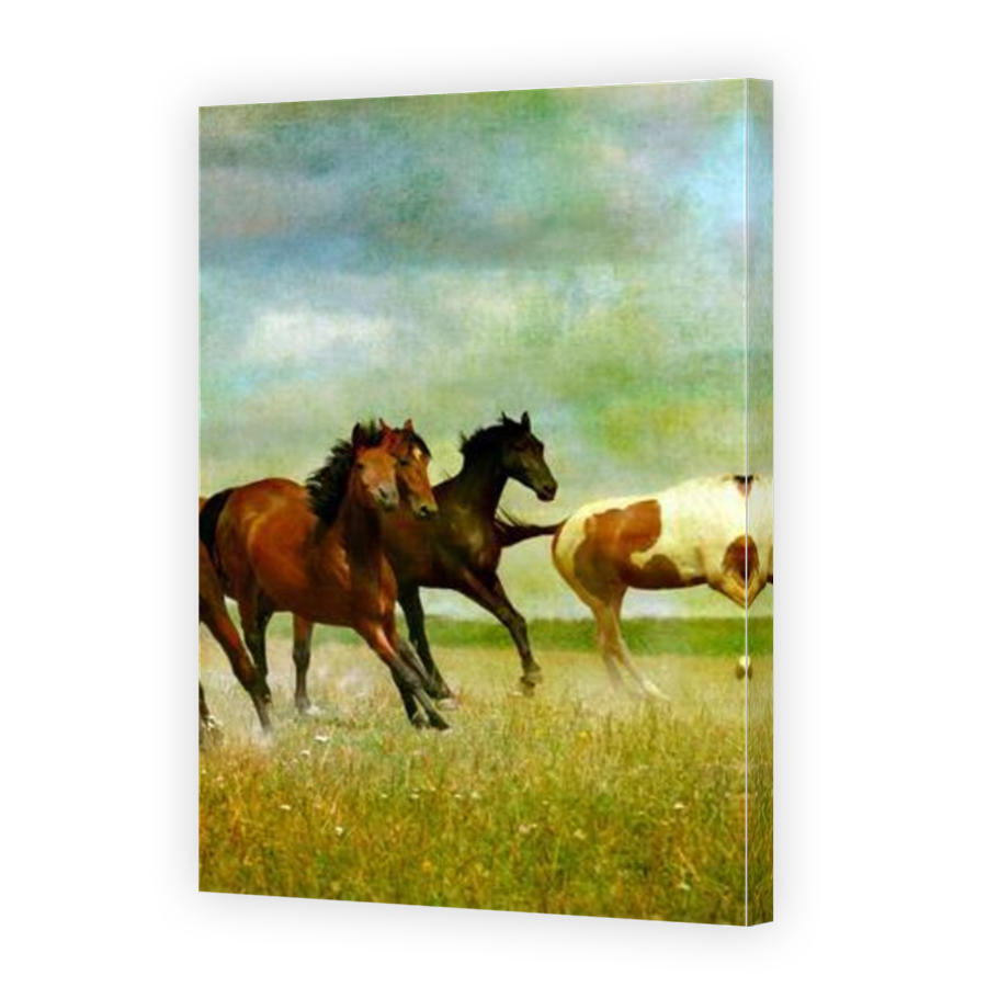 Thumbnail for Canvas - Mirror Image Canvas Wrap