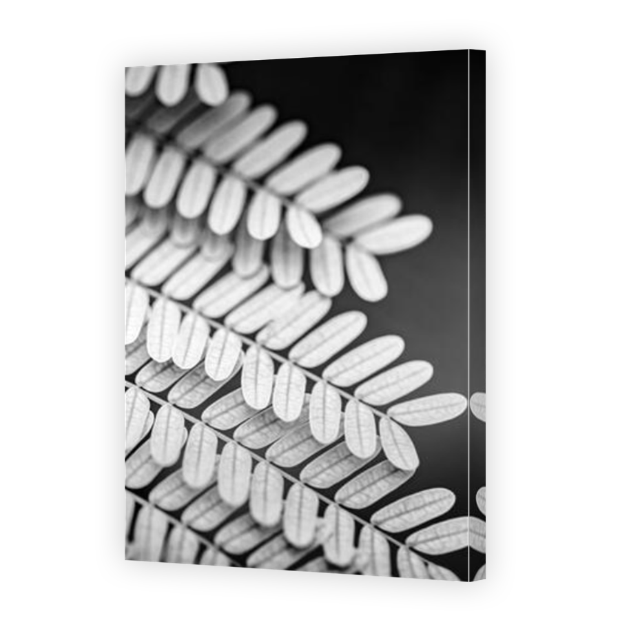 Thumbnail for Canvas - Mirror Image Canvas Wrap