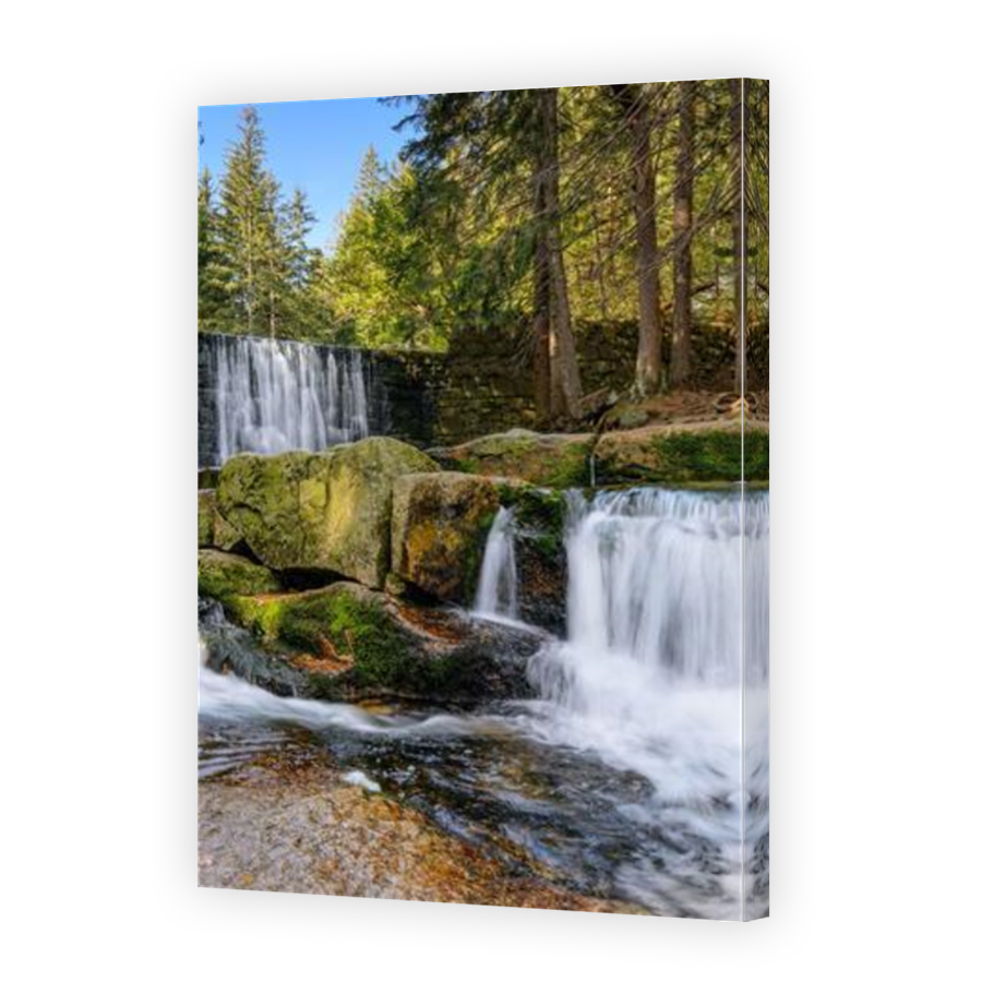 Thumbnail for Canvas - Mirror Image Canvas Wrap