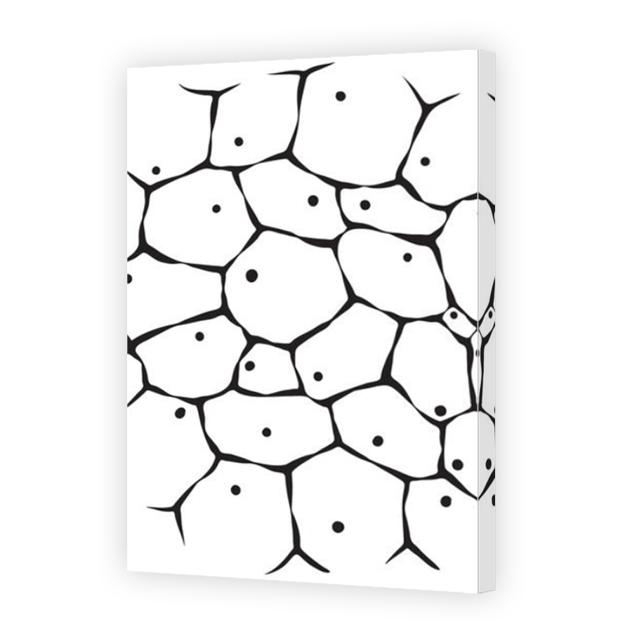 Thumbnail for Canvas - Mirror Image Canvas Wrap