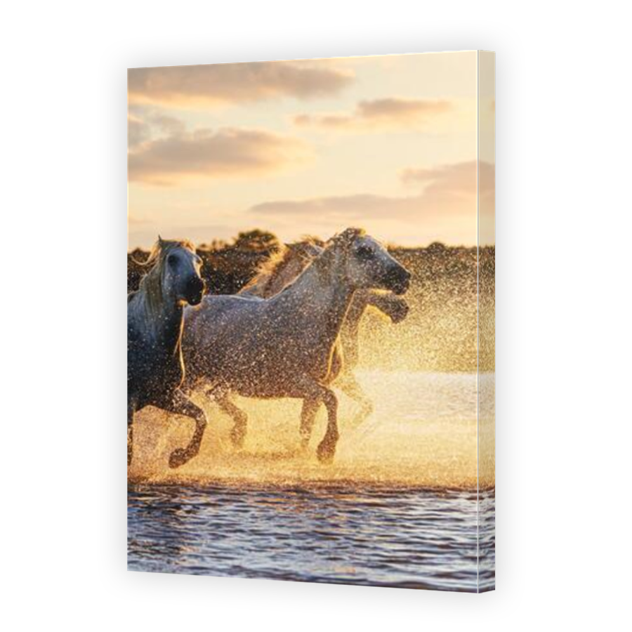 Thumbnail for Canvas - Mirror Image Canvas Wrap