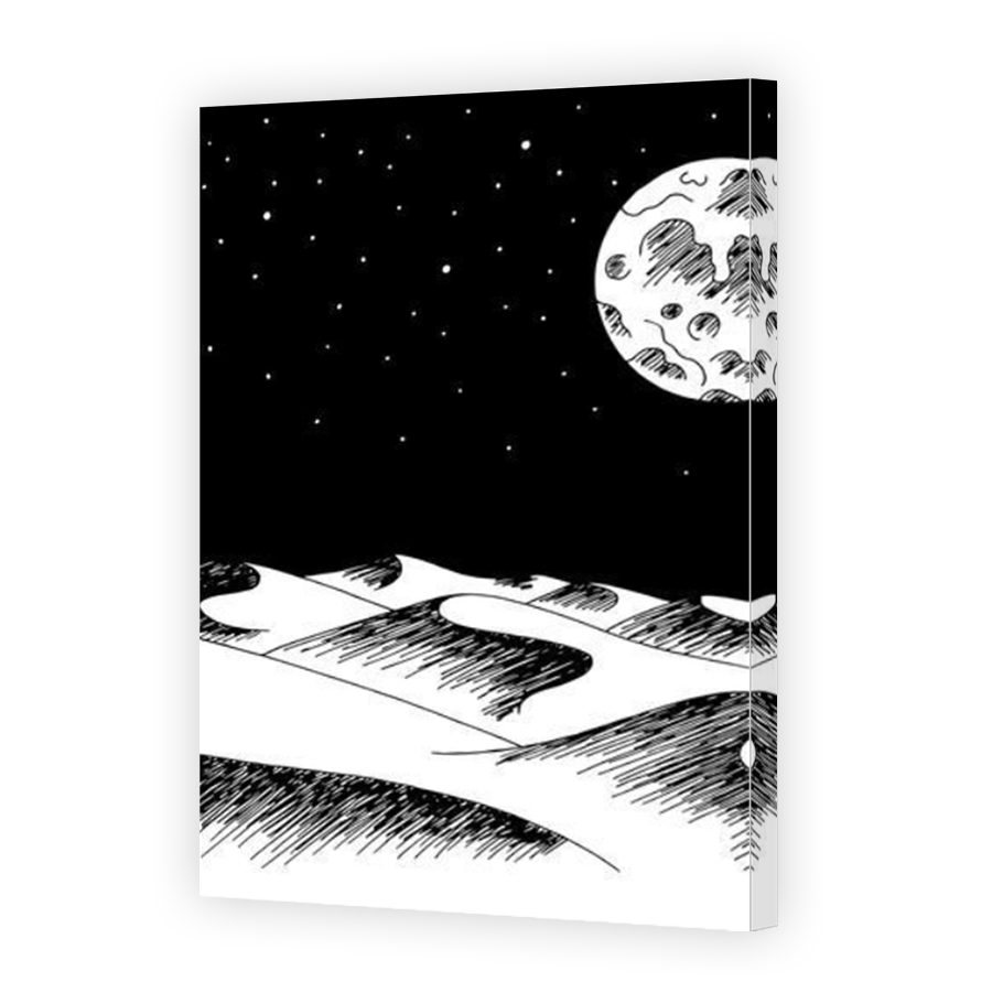 Thumbnail for Canvas - Mirror Image Canvas Wrap