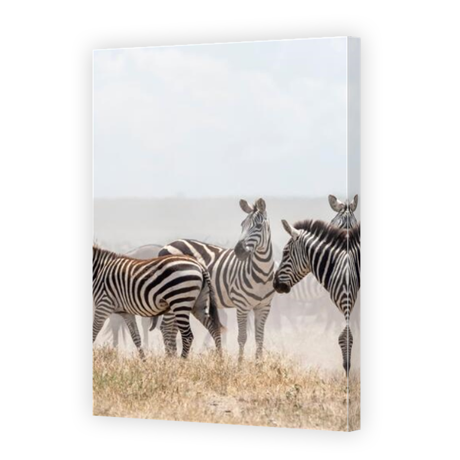 Thumbnail for Canvas - Mirror Image Canvas Wrap
