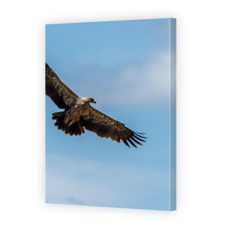 Thumbnail for Canvas - Mirror Image Canvas Wrap