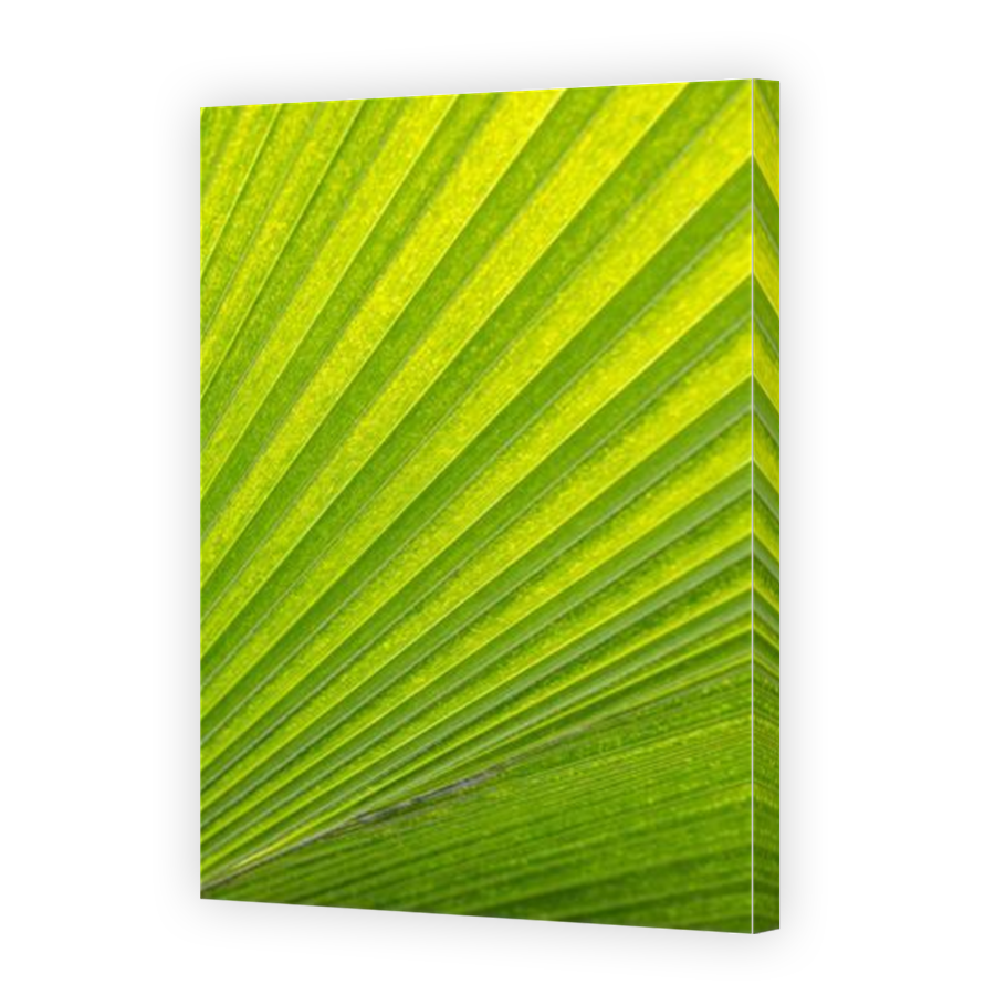 Thumbnail for Canvas - Mirror Image Canvas Wrap