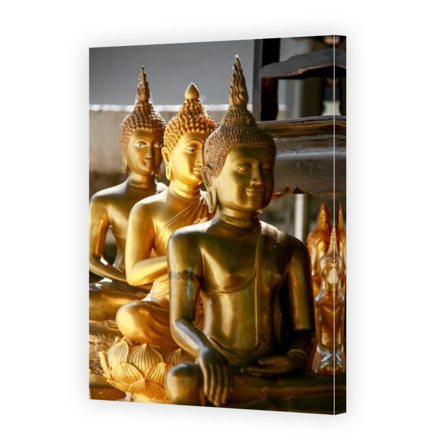 Thumbnail for Canvas - Mirror Image Canvas Wrap