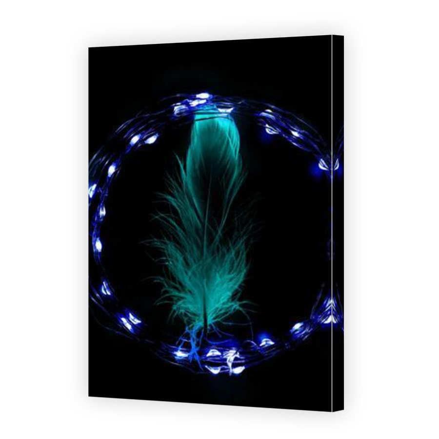 Thumbnail for Canvas - Mirror Image Canvas Wrap