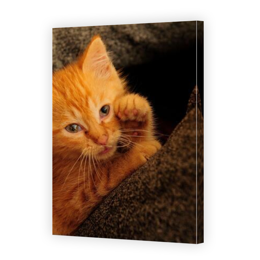 Thumbnail for Canvas - Mirror Image Canvas Wrap