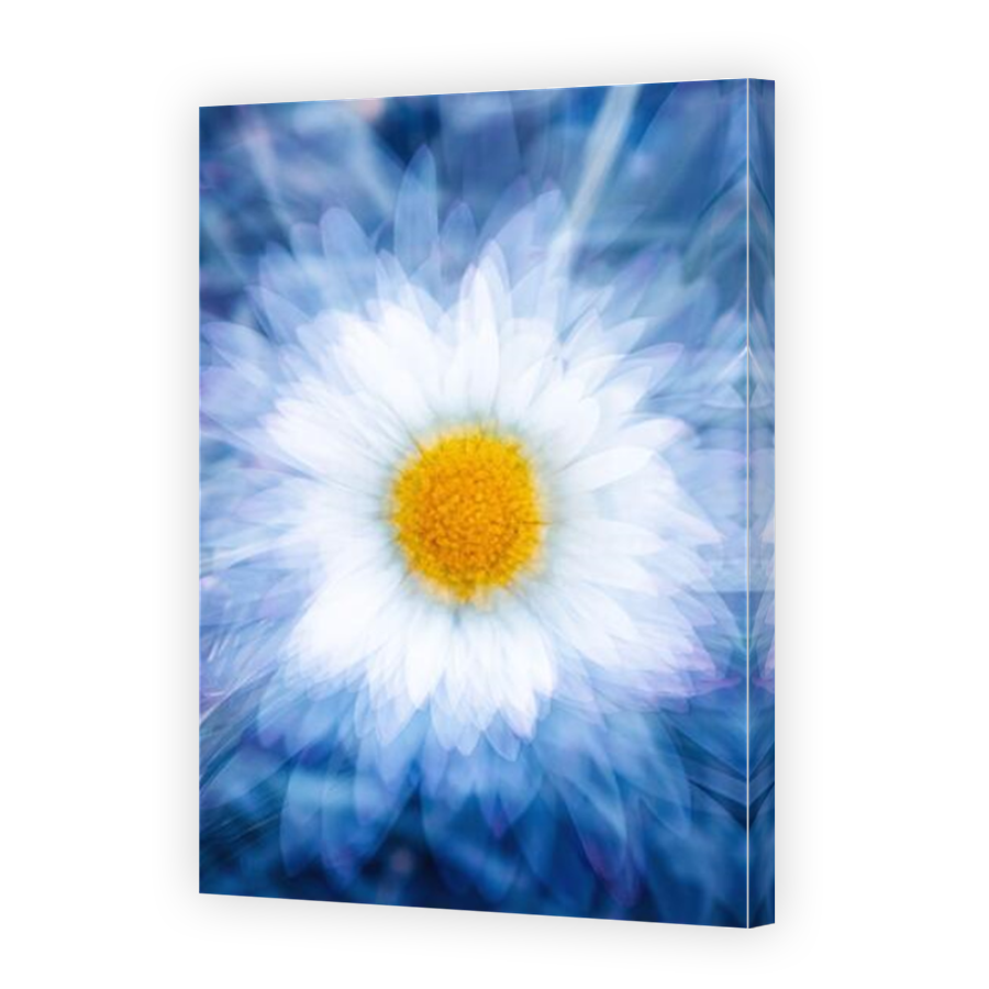 Thumbnail for Canvas - Mirror Image Canvas Wrap