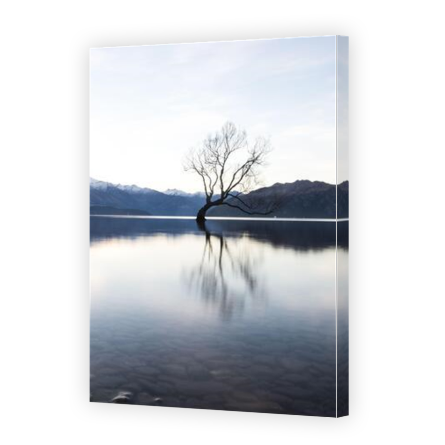 Thumbnail for Canvas - Mirror Image Canvas Wrap