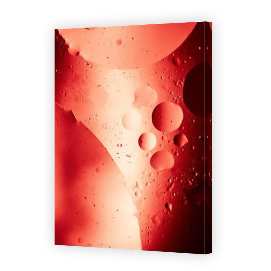 Thumbnail for Canvas - Mirror Image Canvas Wrap