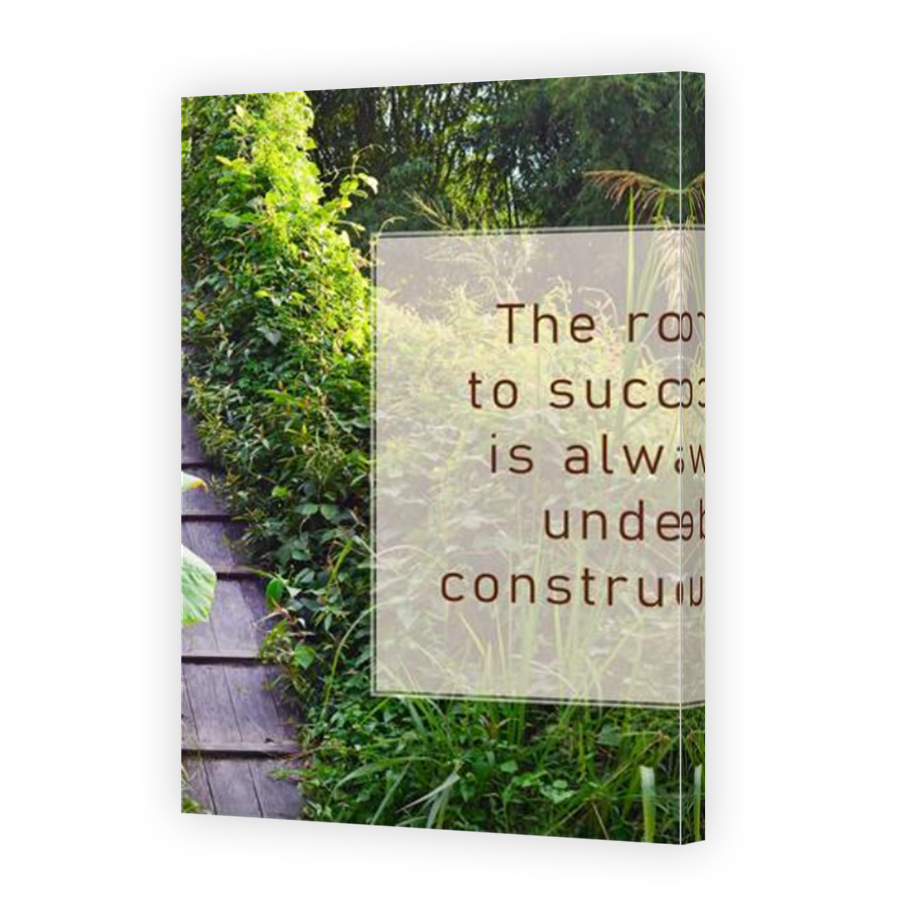 Thumbnail for Canvas - Mirror Image Canvas Wrap