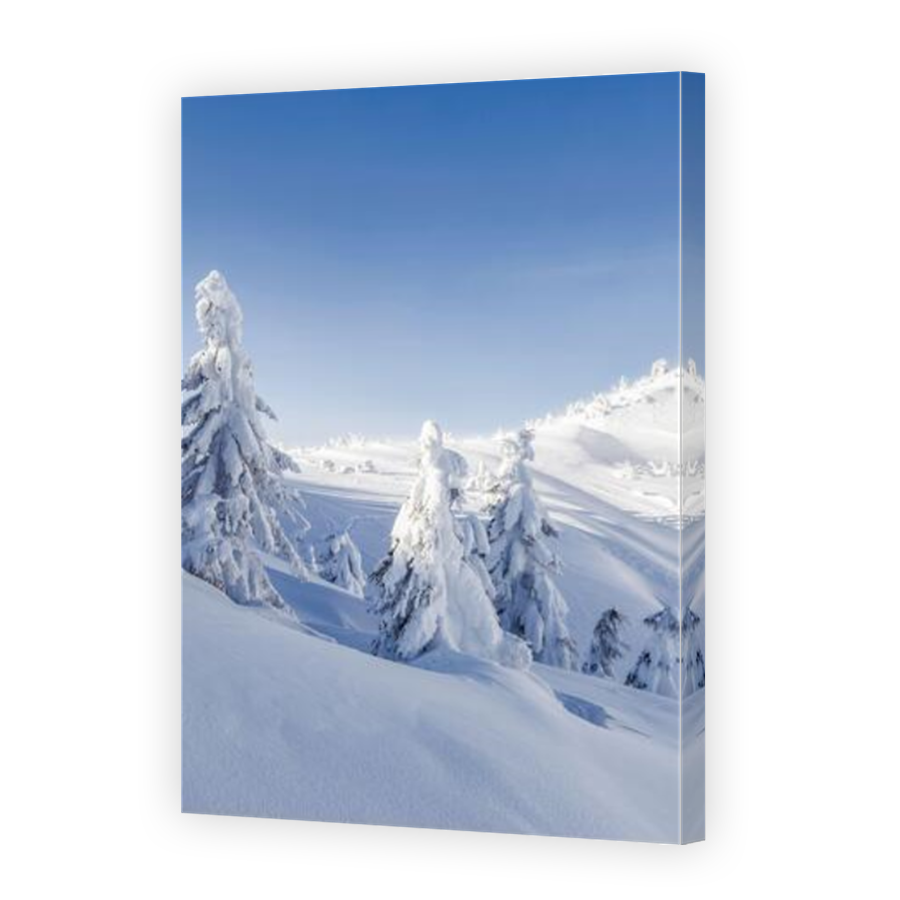Thumbnail for Canvas - Mirror Image Canvas Wrap