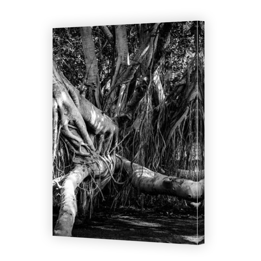 Thumbnail for Canvas - Mirror Image Canvas Wrap