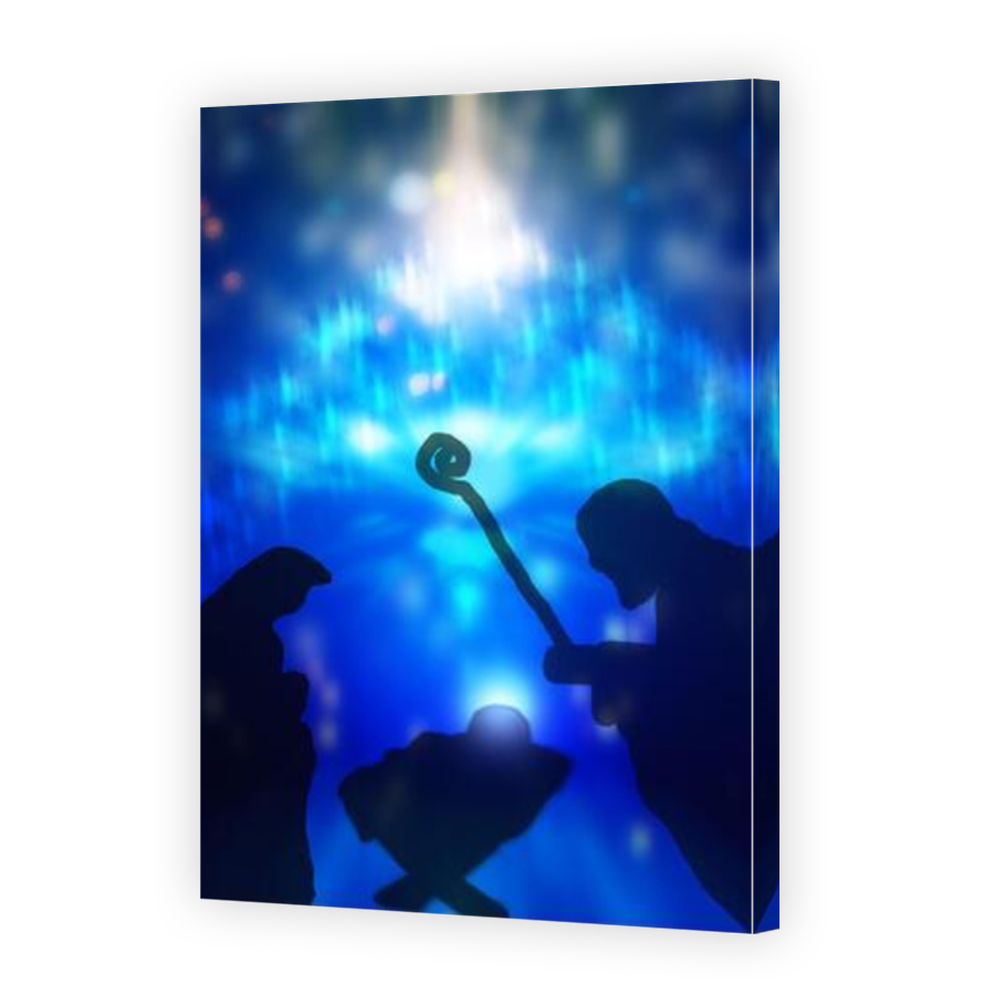 Thumbnail for Canvas - Mirror Image Canvas Wrap