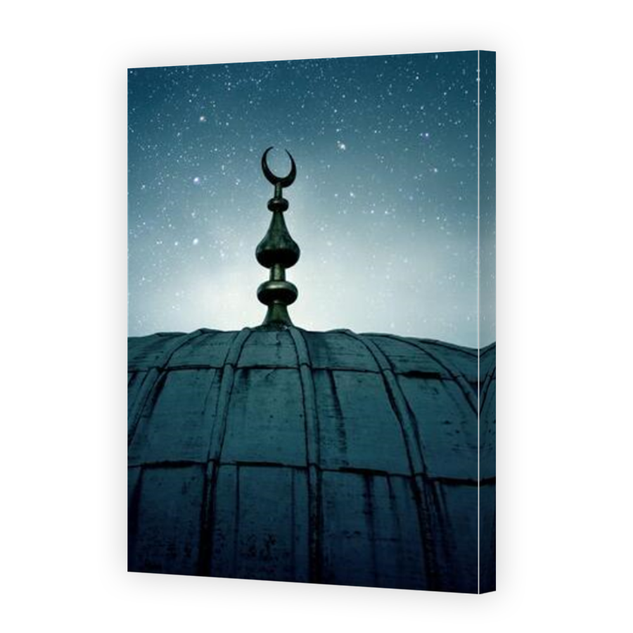 Thumbnail for Canvas - Mirror Image Canvas Wrap