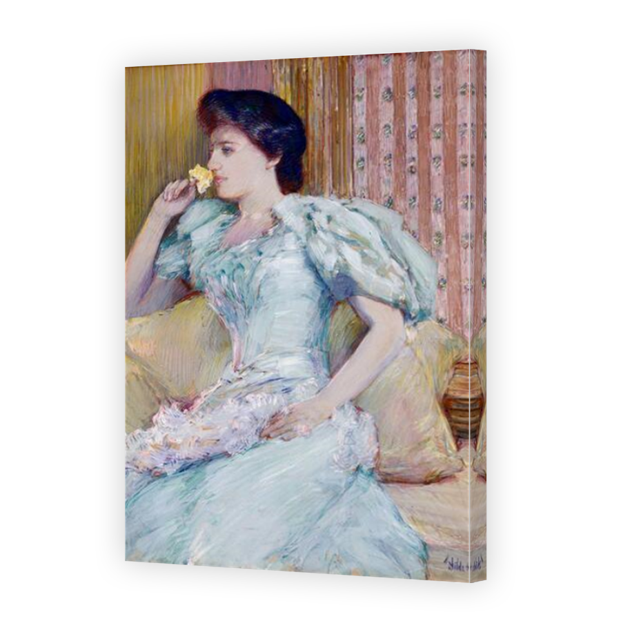 Thumbnail for Canvas - Mirror Image Canvas Wrap