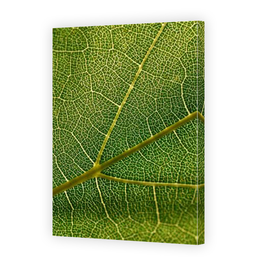 Thumbnail for Canvas - Mirror Image Canvas Wrap