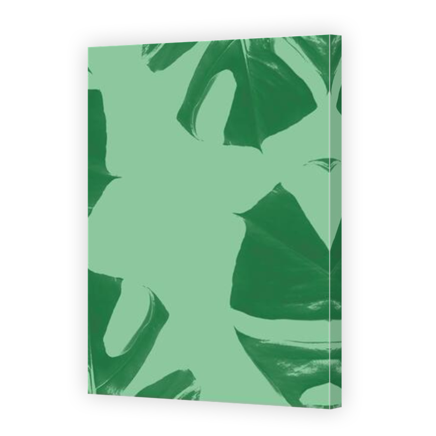 Thumbnail for Canvas - Mirror Image Canvas Wrap