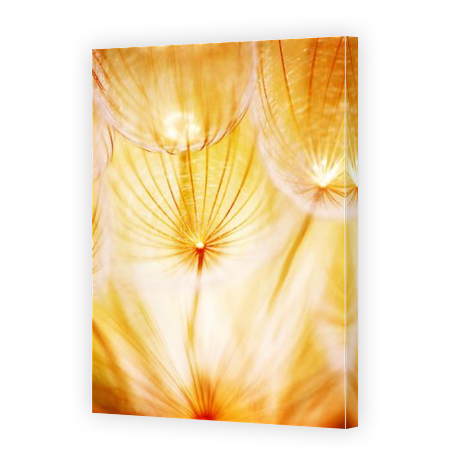 Thumbnail for Canvas - Mirror Image Canvas Wrap