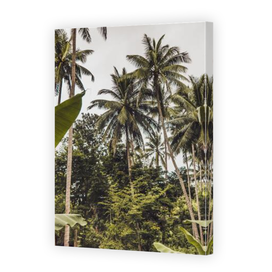 Thumbnail for Canvas - Mirror Image Canvas Wrap