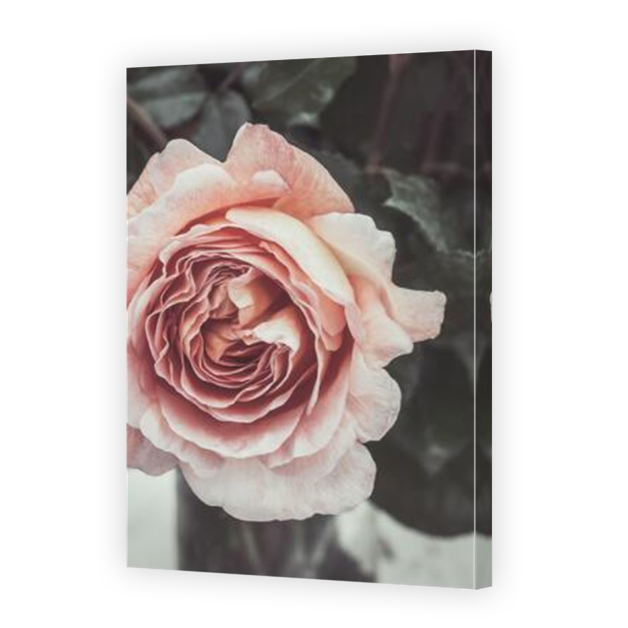 Thumbnail for Canvas - Mirror Image Canvas Wrap