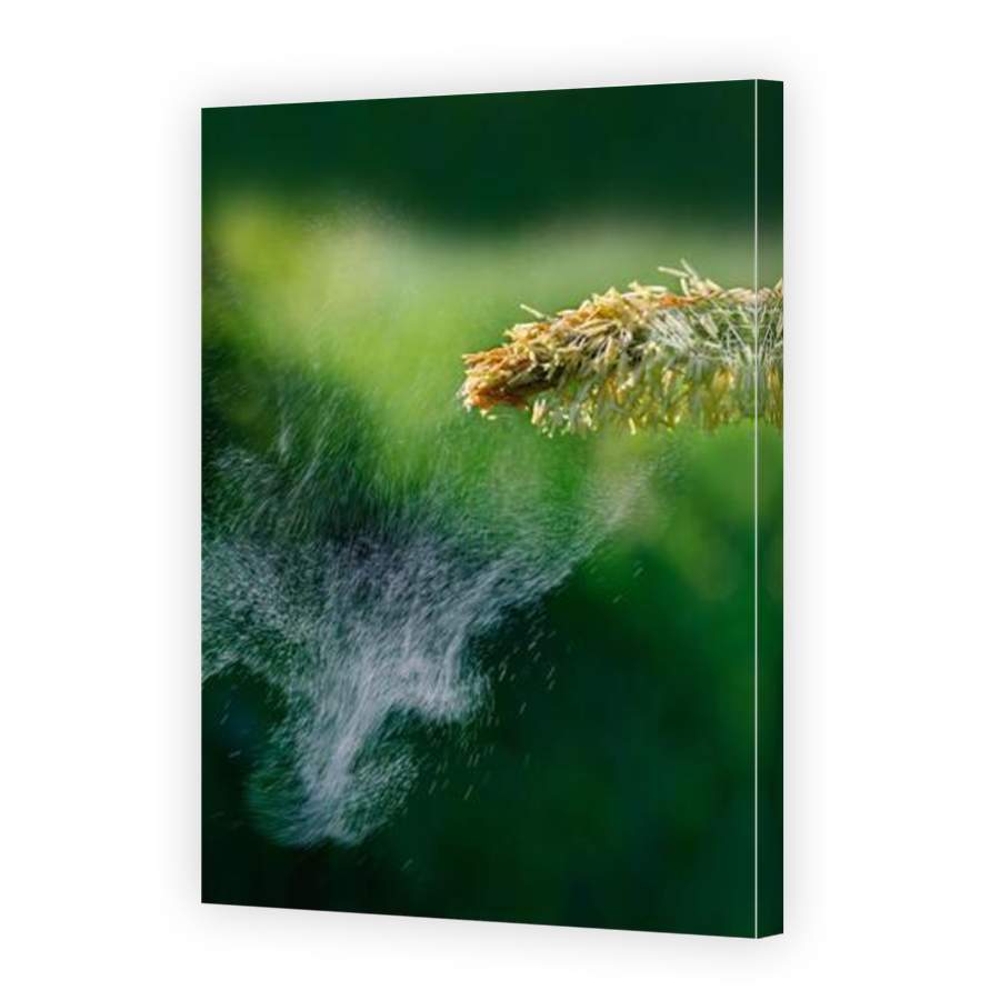 Thumbnail for Canvas - Mirror Image Canvas Wrap