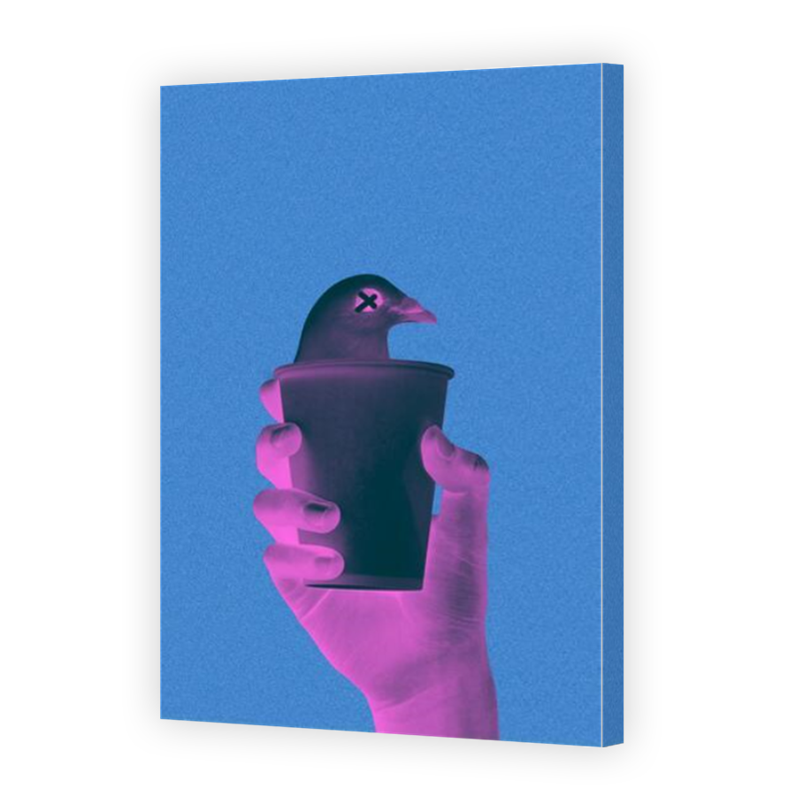 Thumbnail for Canvas - Mirror Image Canvas Wrap